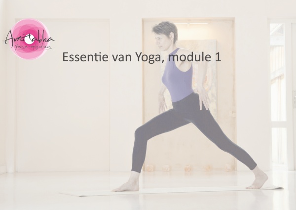 De-essentie-van-yoga